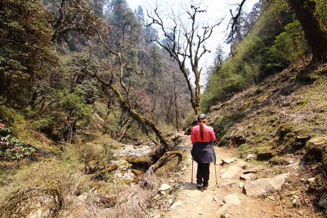 The Forgotten Trails: Hiking Routes Only Locals Know About